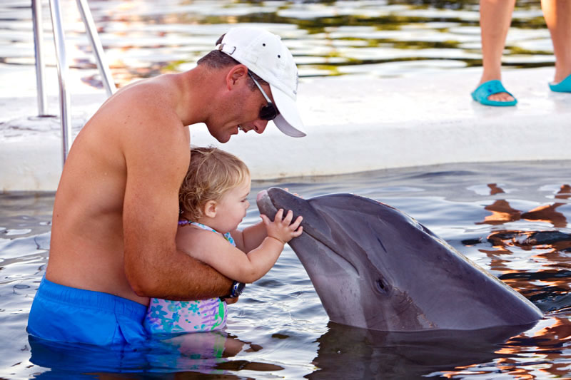 Father-and-son,-Dolphin-Research-Center,-Grassy-Key,-Florida